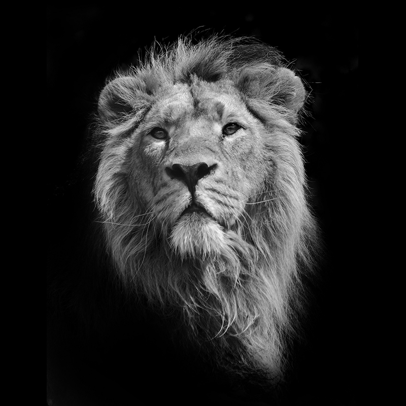 Strata Select | Company Profile